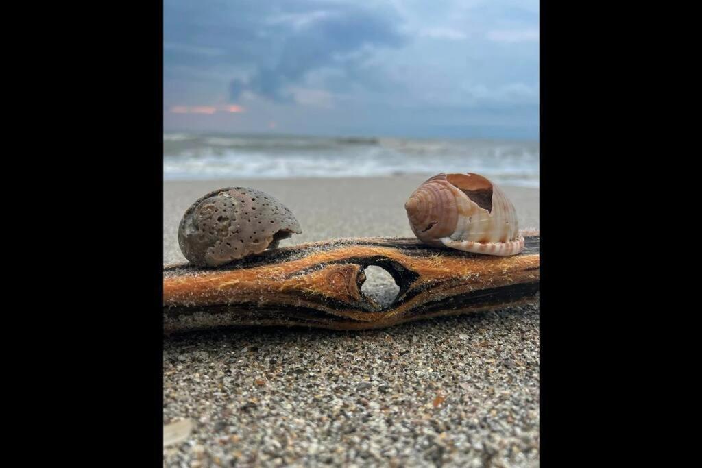 Cocoa, Beach House Εξωτερικό φωτογραφία