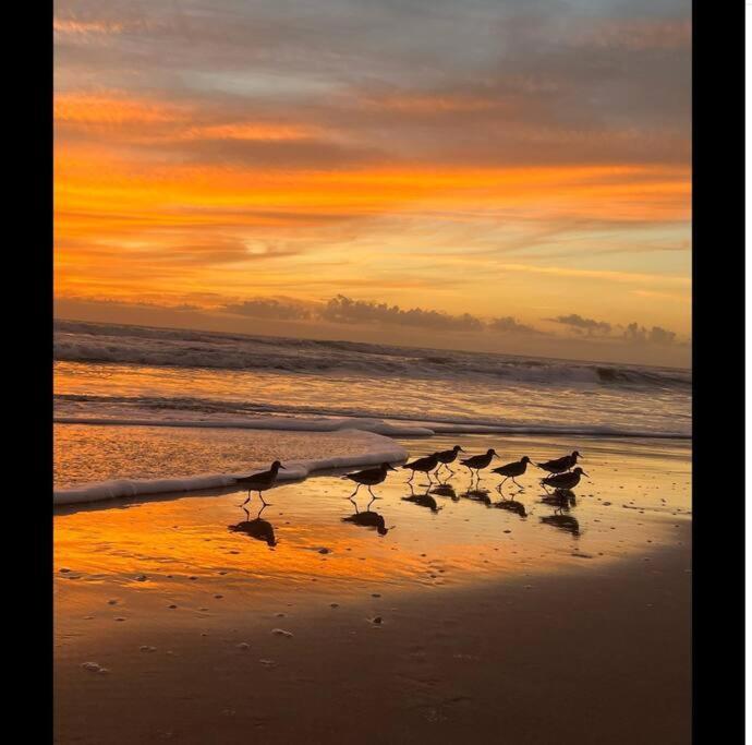 Cocoa, Beach House Εξωτερικό φωτογραφία